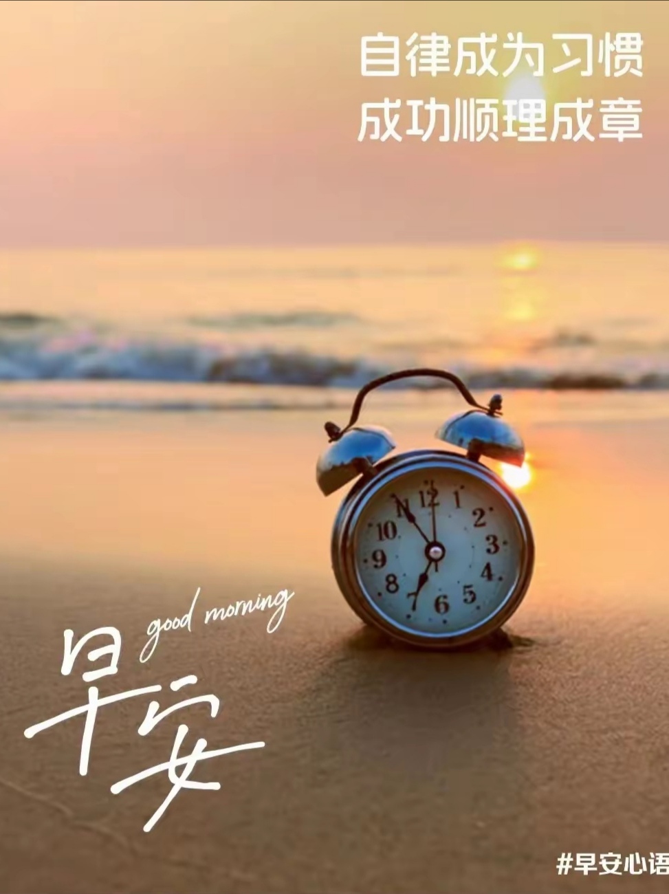 只可意会，不可言传！新月的胜利不可复制，沙超的成功就靠金元的简单介绍
